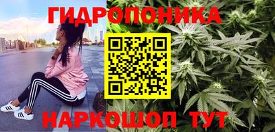 индика Кунгур
