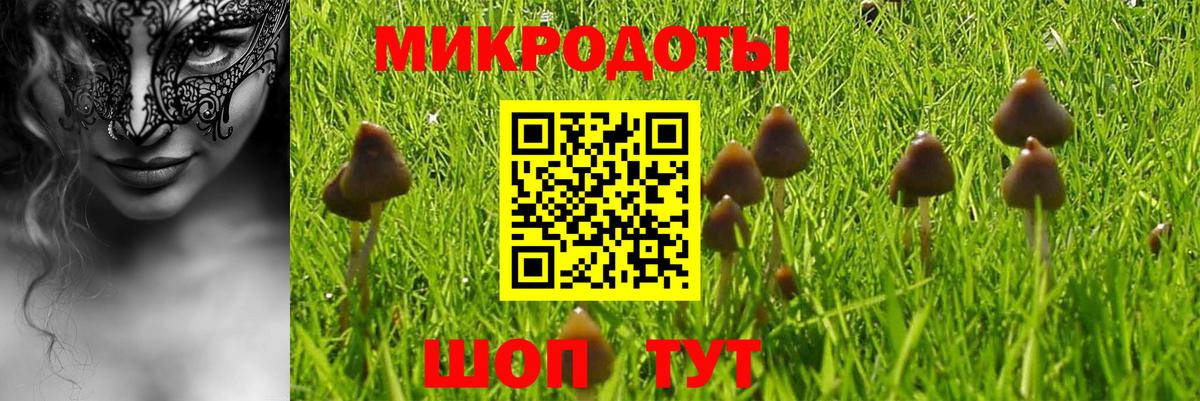 Иваново  Псилоцибиновые грибы Cubensis  купить наркоту  Вход с VPN 